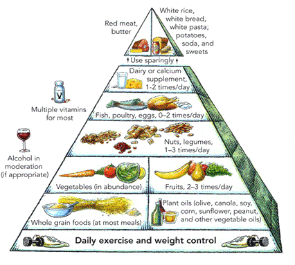 Bild Willett-Pyramide